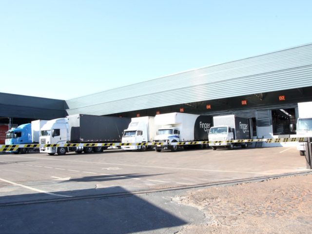 Finger evolution and heritage